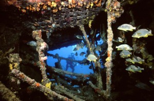 Wreck of the Rhone