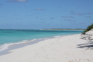 Cow Wreck Beach